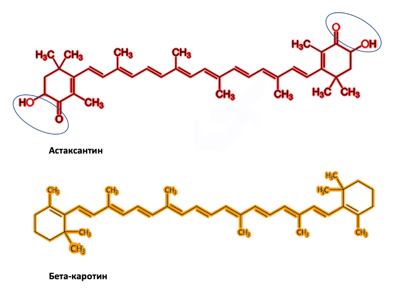 Химическая формула астаксантина и бета-каротина БИО Билдинг